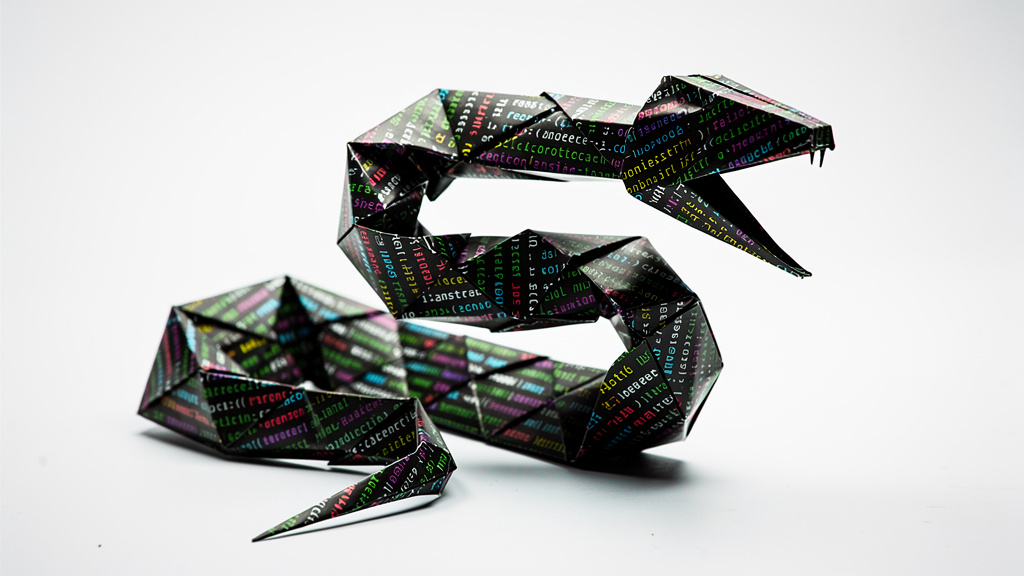 Python für Webentwicklung mit Django